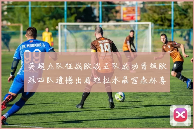 英超九队征战欧战五队成功晋级欧冠四队遗憾出局维拉水晶宫森林喜获晋级资格