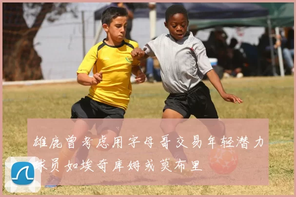 雄鹿曾考虑用字母哥交易年轻潜力球员如埃奇库姆或莫布里