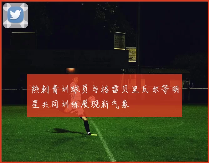 热刺青训球员与格雷贝里瓦尔等明星共同训练展现新气象