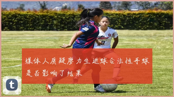 媒体人质疑廖力生进球合法性手球是否影响了结果